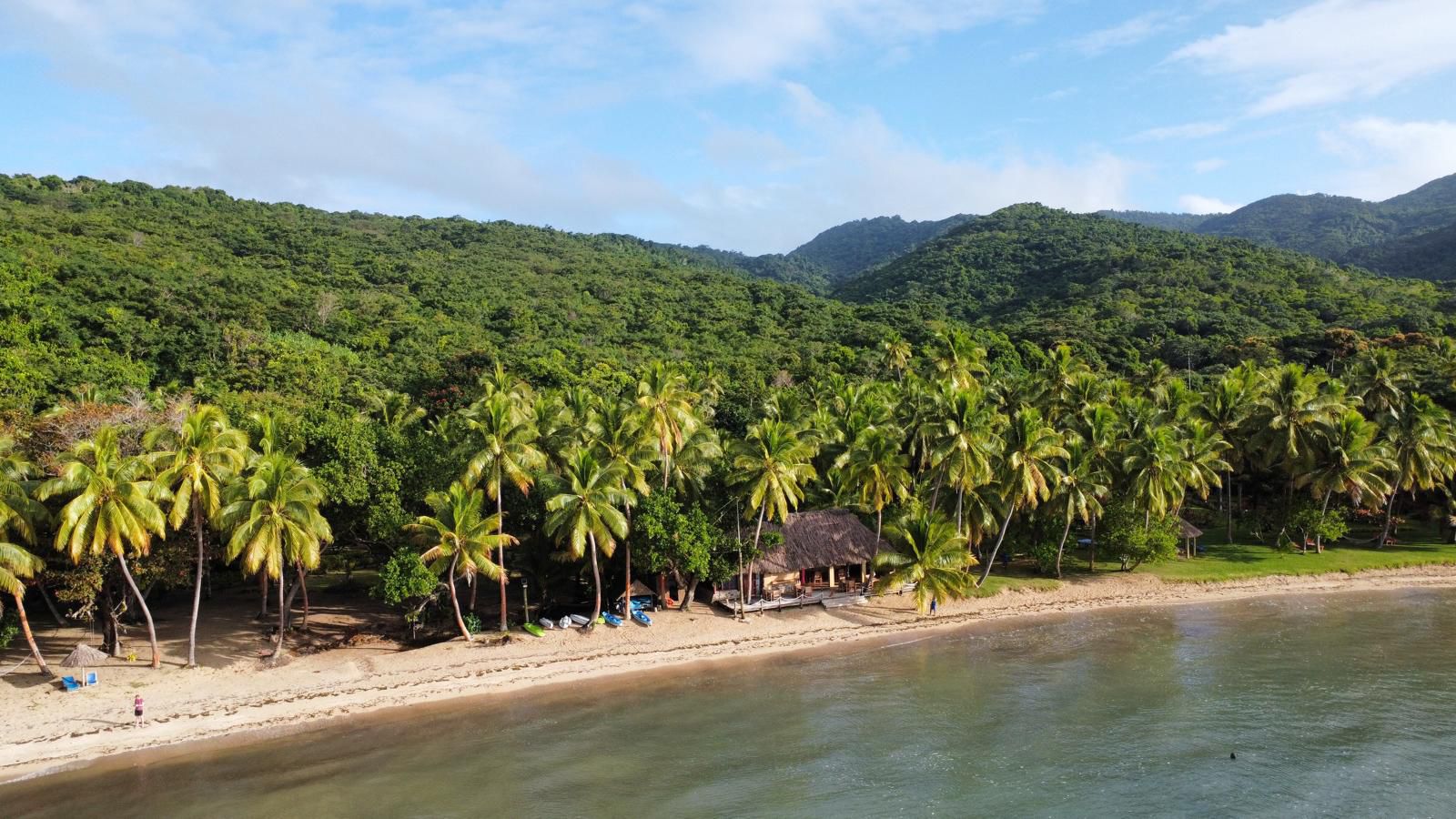 Papageno Resort Background